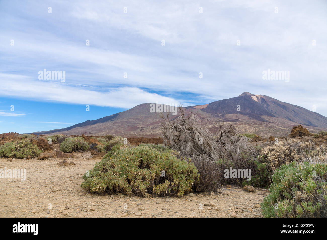 Volcanic landscape with erosion and sparse vegetation. Volcano El Teide on background, Tenerife, Canary islands, Spain Stock Photo