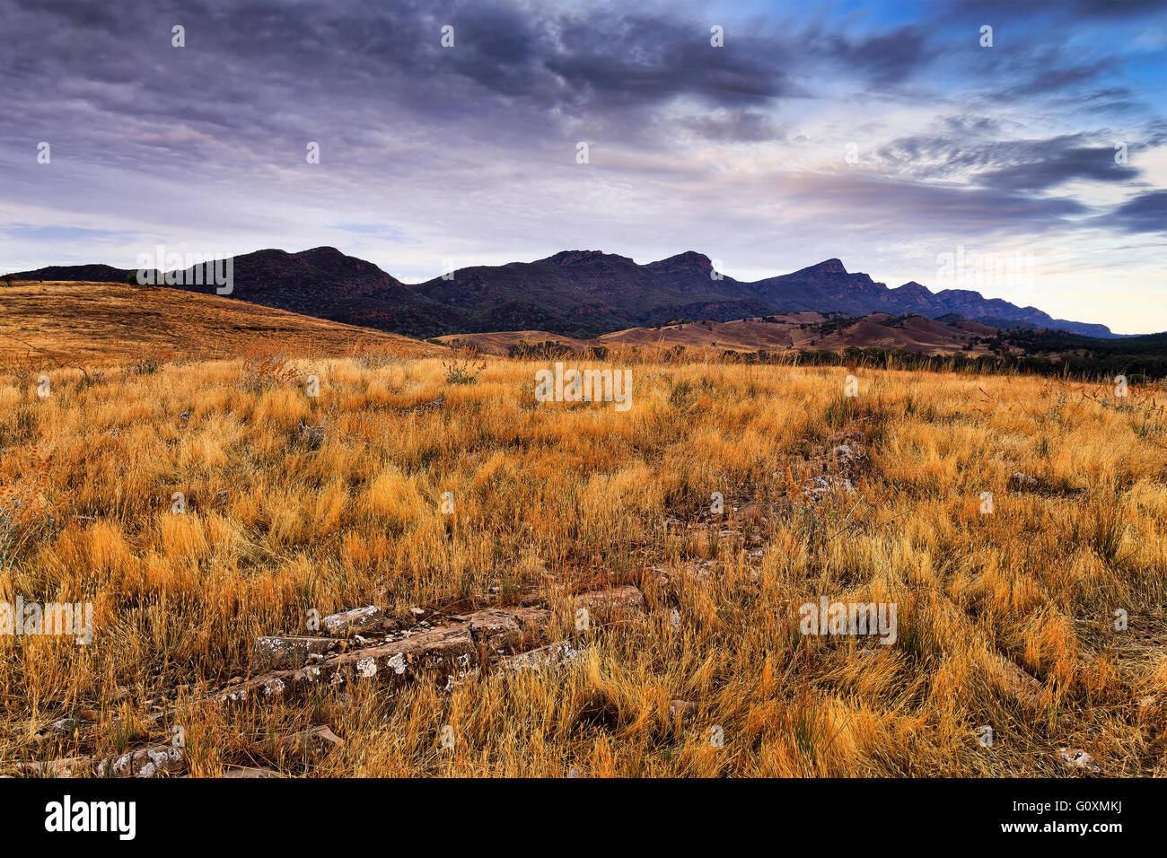 Limestone Range Small limestone range in yellow outback grass towards Wilpena Pound ...