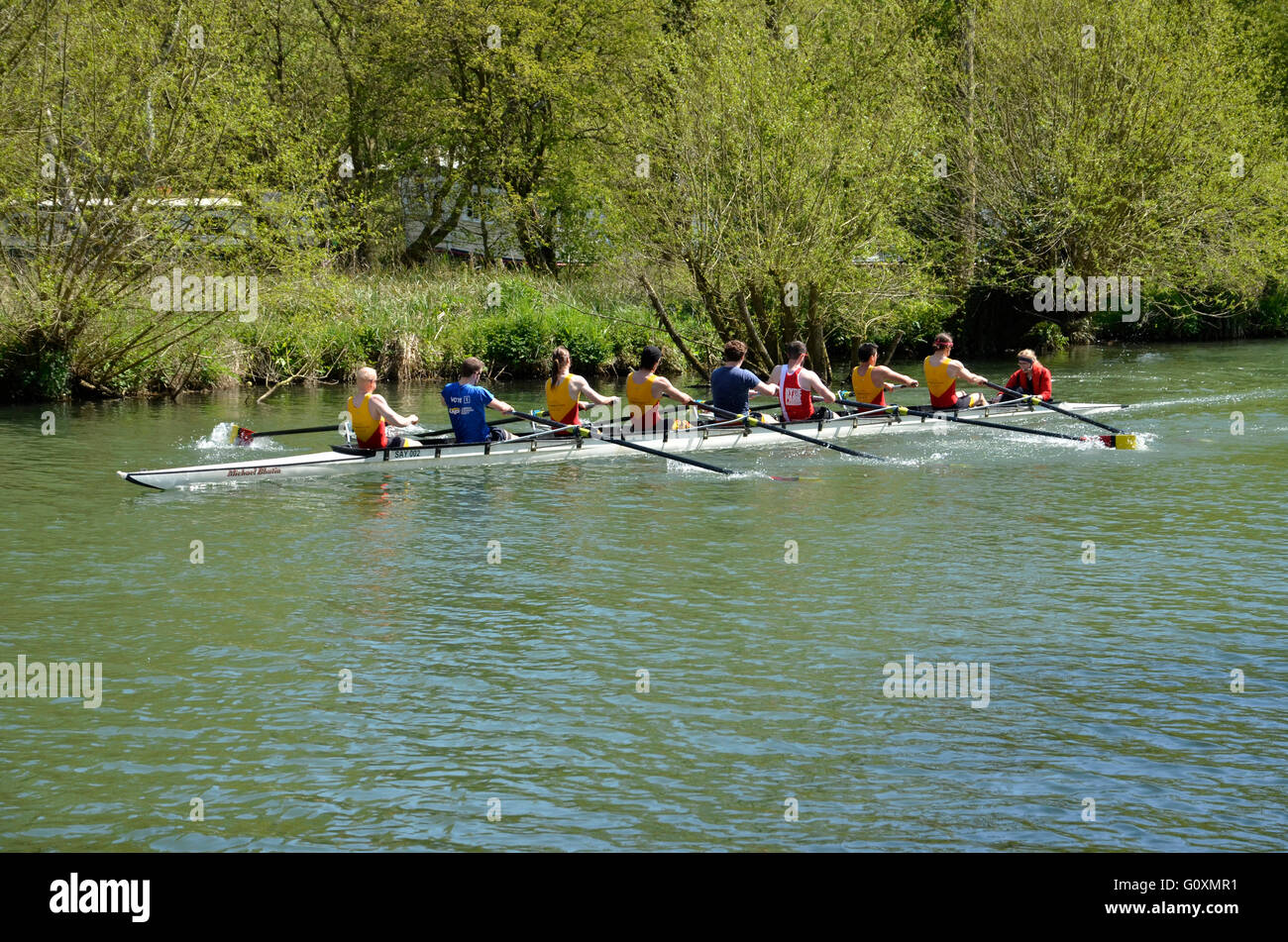 A coxed eight of Oxford University rowers on the River Thames (Isis) at Oxford, England. Stock Photo