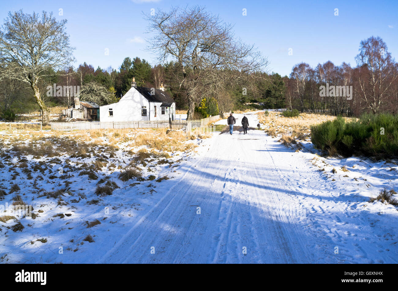 dh Speyside way AVIEMORE INVERNESSSHIRE Walkers cottage snow footpath track scotland winter walk Stock Photo