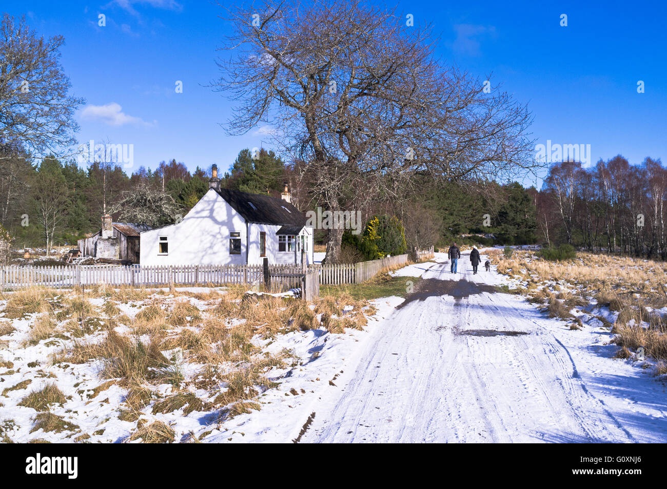 dh Speyside way AVIEMORE INVERNESSSHIRE Walkers cottage snow footpath track winter walk walker beautiful uk scotland hiking in highland Stock Photo