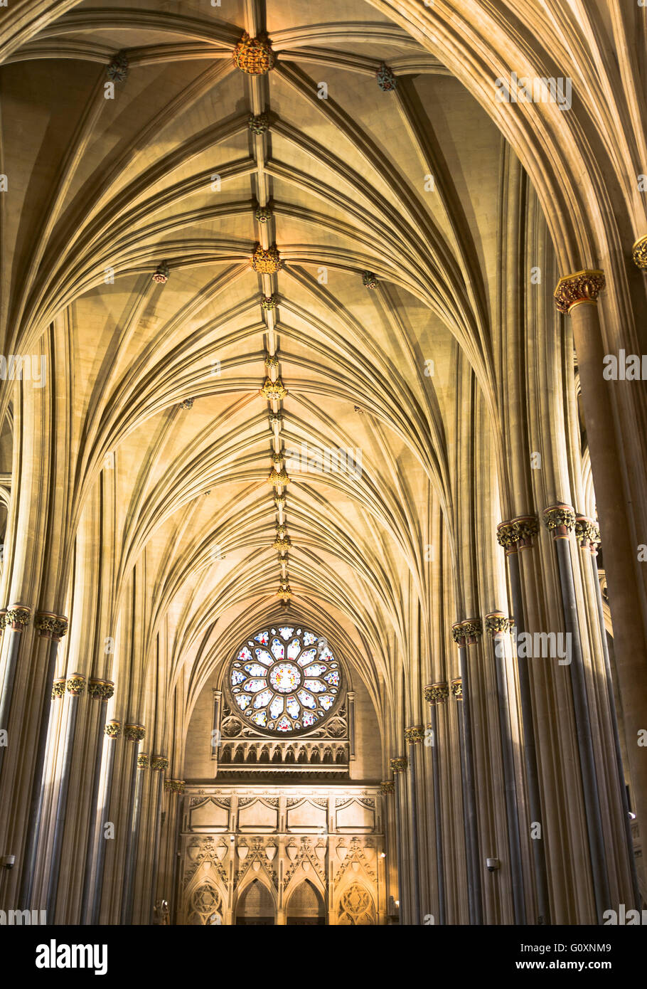 dh  CATHEDRAL BRISTOL English medieval cathedral ceiling interior inside uk Stock Photo