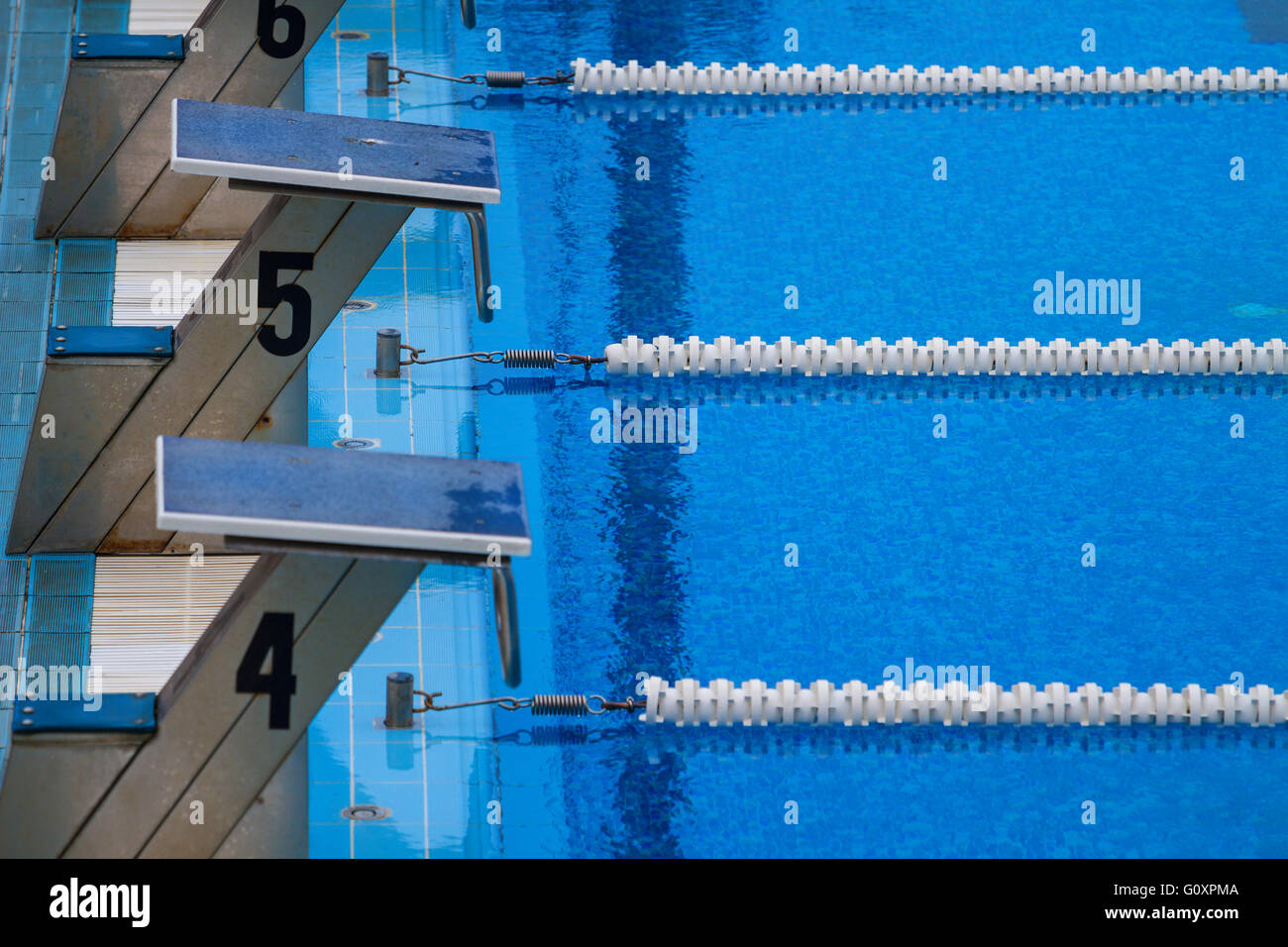 Empty olympic swimming pool with clear blue water Stock Photo