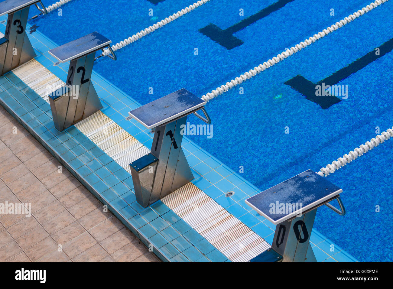Empty olympic swimming pool with clear blue water Stock Photo Alamy