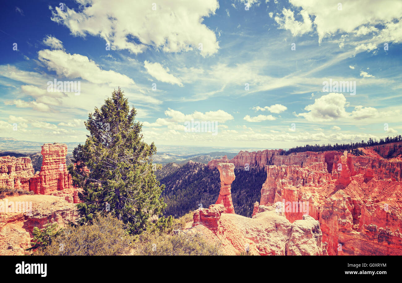 Vintage toned landscape in Bryce Canyon National Park, Utah, USA. Stock Photo