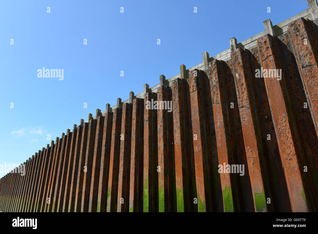 Seal wall hires stock photography and images Alamy
