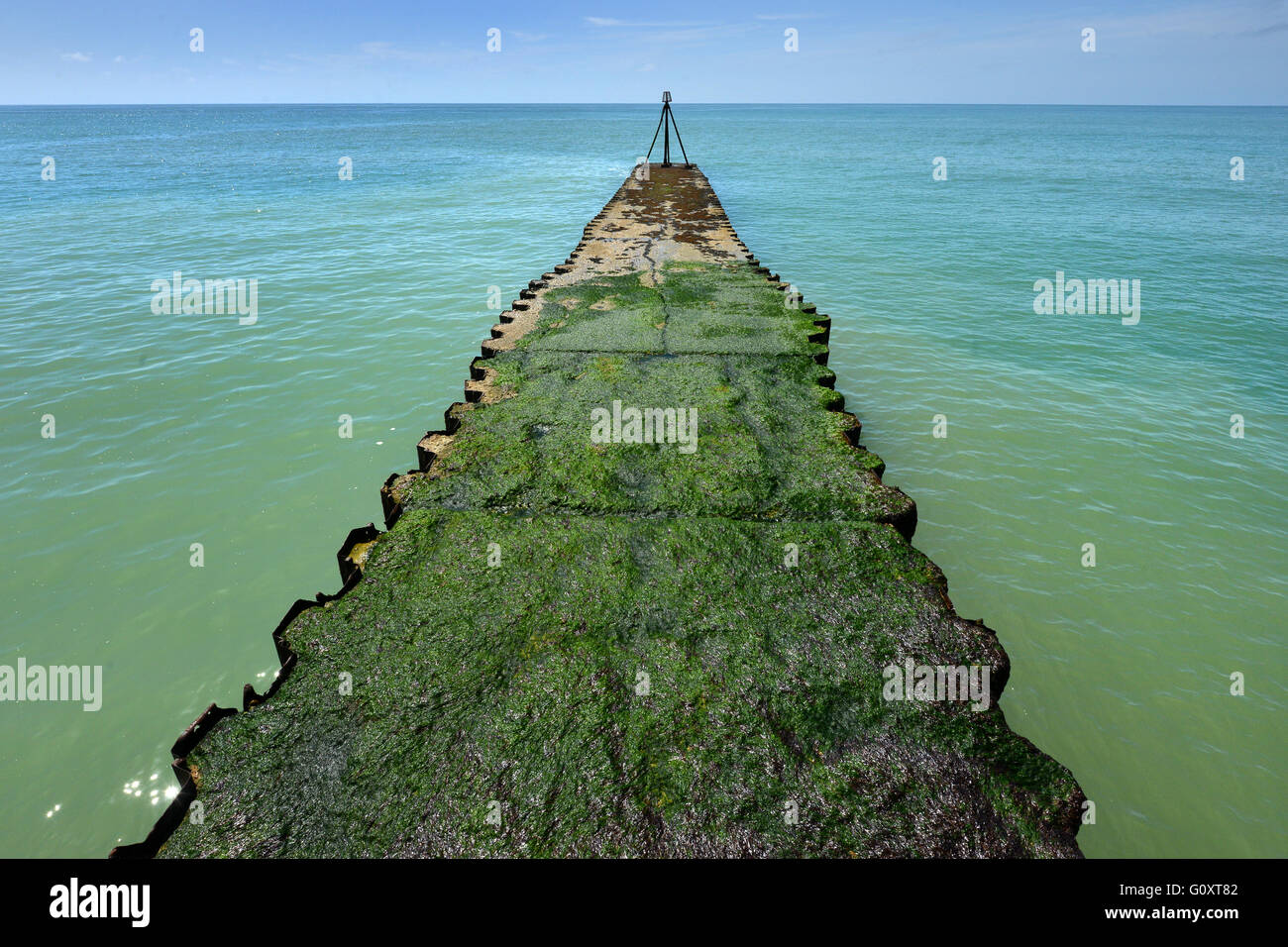 Seaweed covered jetty/pier, Seaford, UK Stock Photo