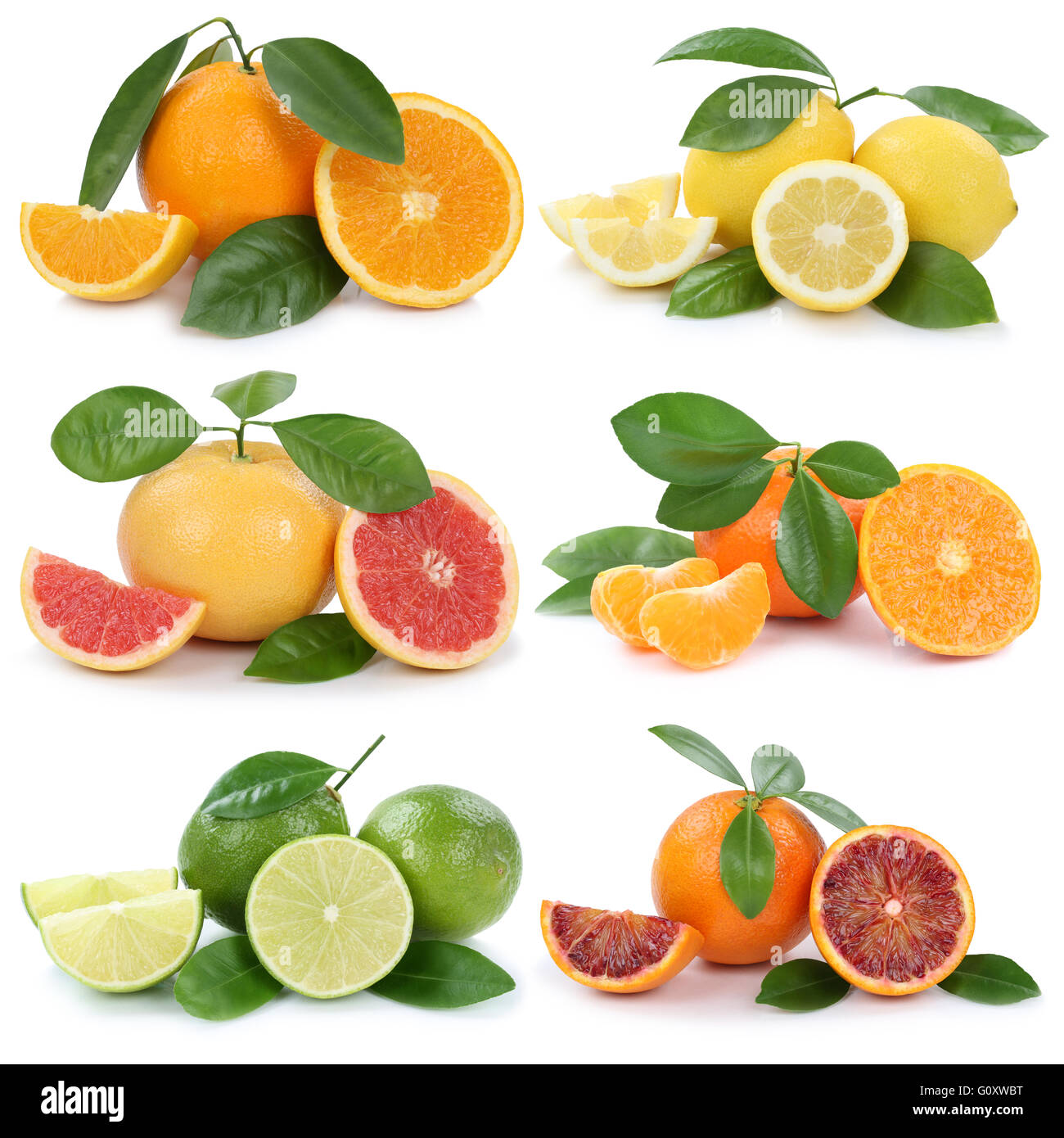 Collection of oranges lemons grapefruit fruits isolated on a white background Stock Photo