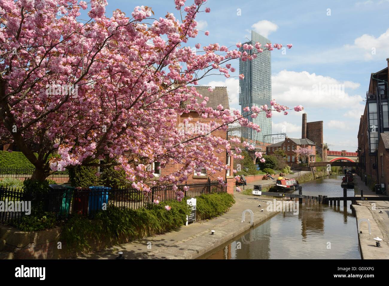 Rochdale canal in the Castlefield district of central Manchester, looking toward Beetham Tower. Stock Photo