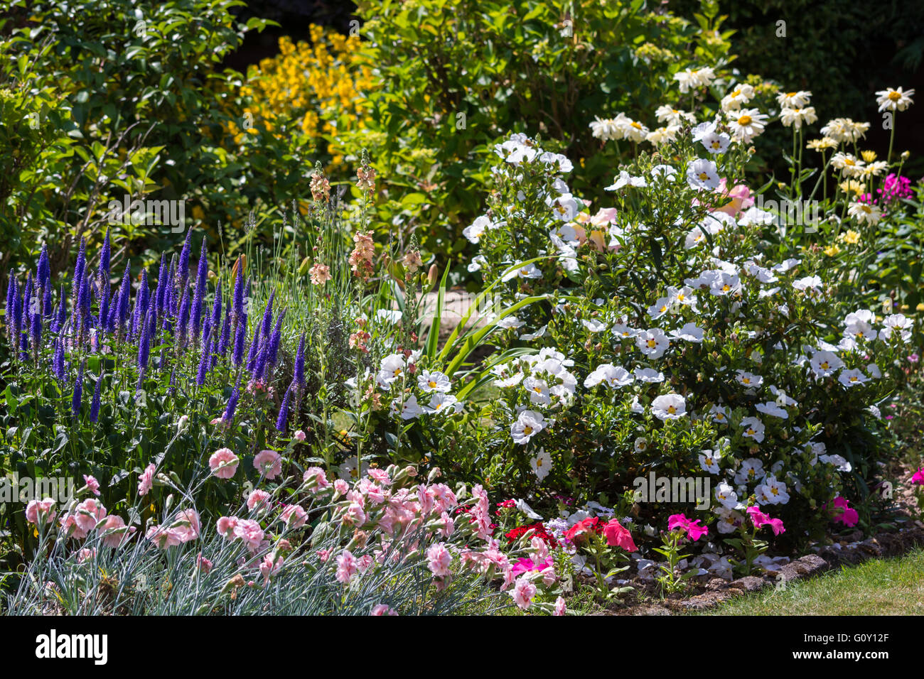 An East Grinstead Garden in Full Bloom Stock Photo Alamy