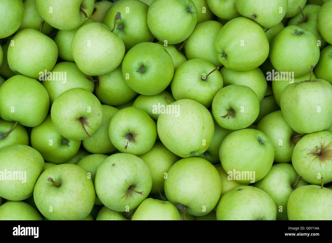 Sour granny smith hires stock photography and images Alamy