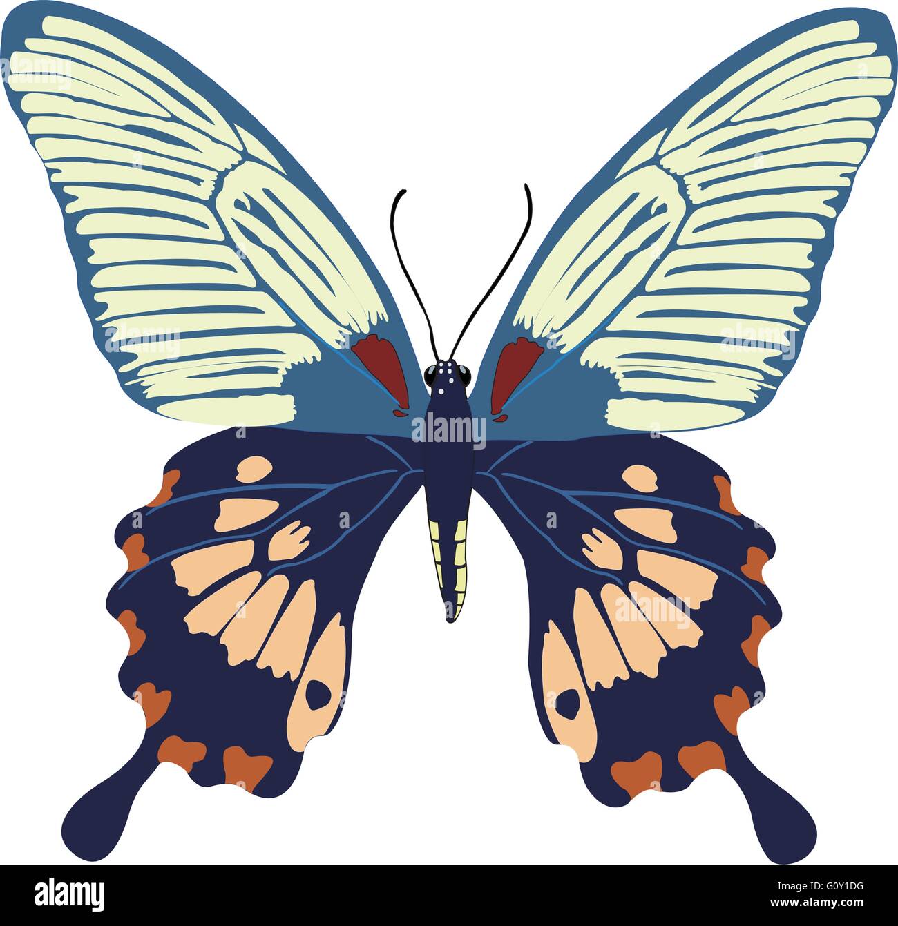 butterfly with isolated background Stock Vector Image & Art - Alamy