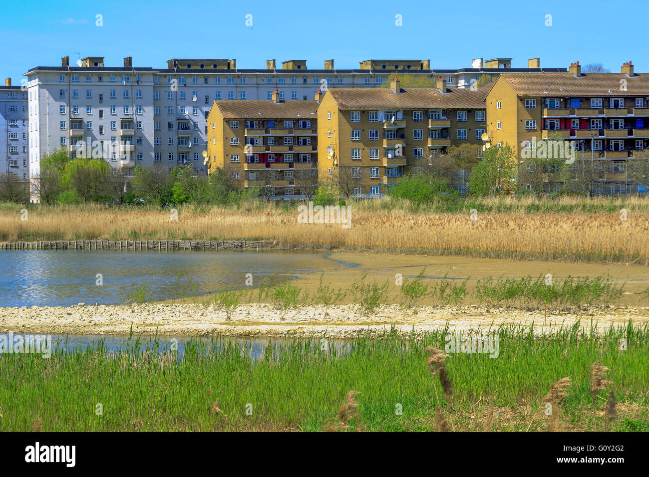 Woodberry wetlands nature reserve at Woodberry Down in London on a sunny day Stock Photo