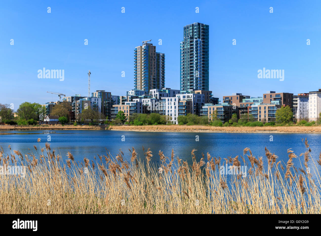 Woodberry wetlands nature reserve at Woodberry Down in London on a sunny day Stock Photo