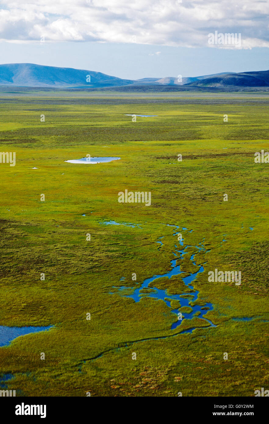 Aerial view of lush arctic tundra between Provideniya & Egvekinot; Siberia; Chuchki Peninsula; Magadan Region Russian Federation Stock Photo