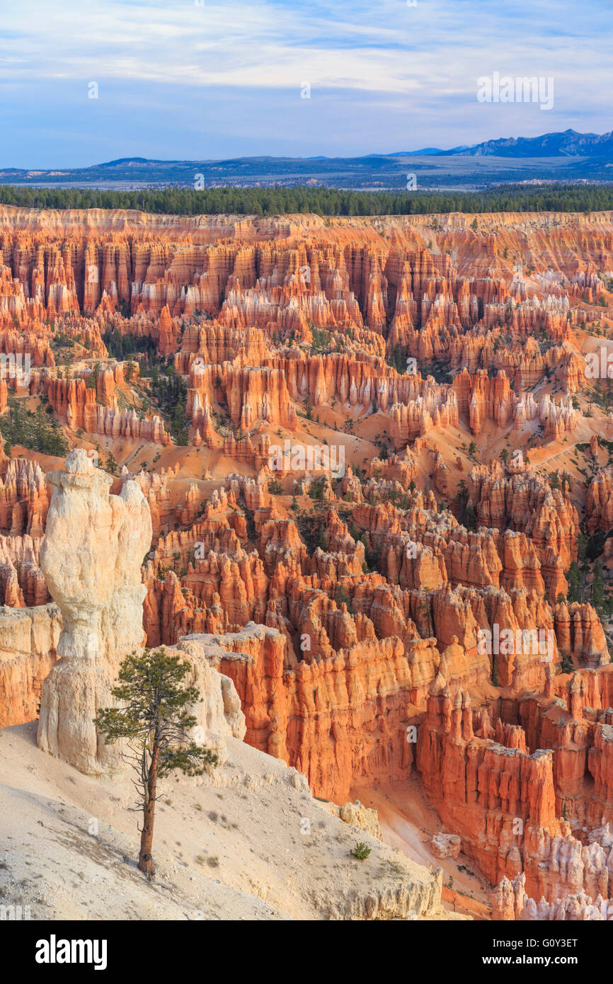 hoodoos viewed from trail below bryce point in bryce canyon national park, utah Stock Photo
