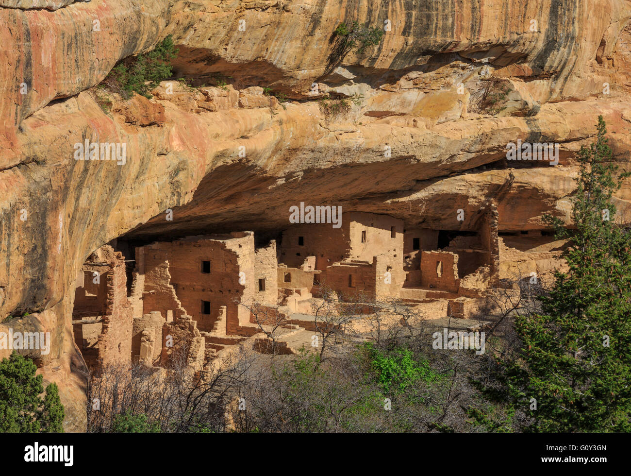 spruce tree house cliff dwelling at mesa verde national park, colorado Stock Photo