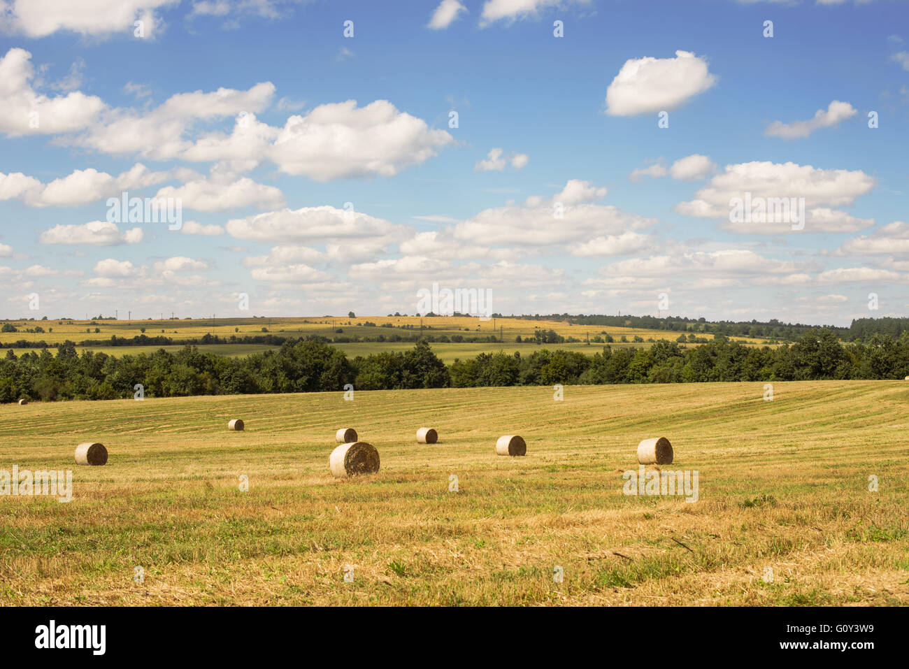 Field with hay bales, Sofia, Bulgaria Stock Photo