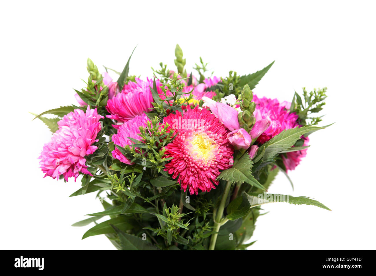 Beautiful bunch of cultivated flowers on white background Stock Photo