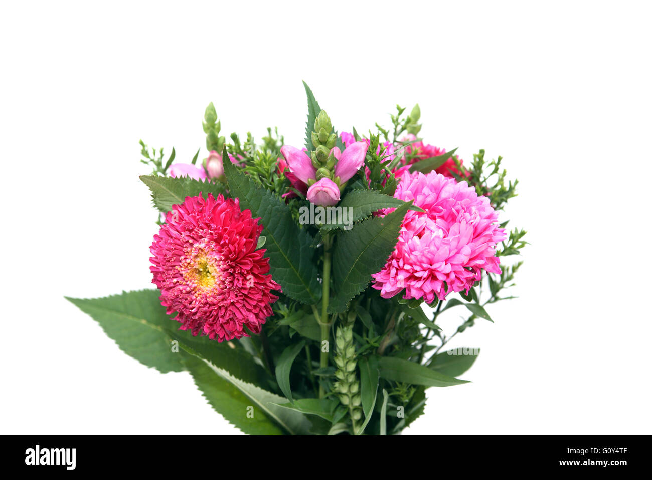 Beautiful bunch of cultivated flowers on white background Stock Photo
