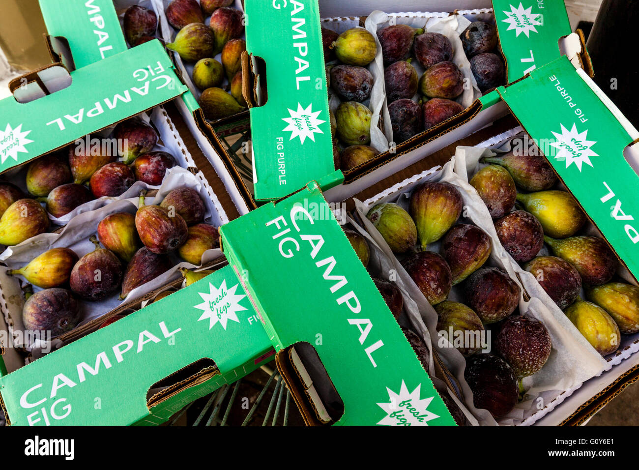 Where To Buy Fresh Figs Uk fig tree care how to grow figs - bbc gardeners world magazine on where to buy fresh figs uk