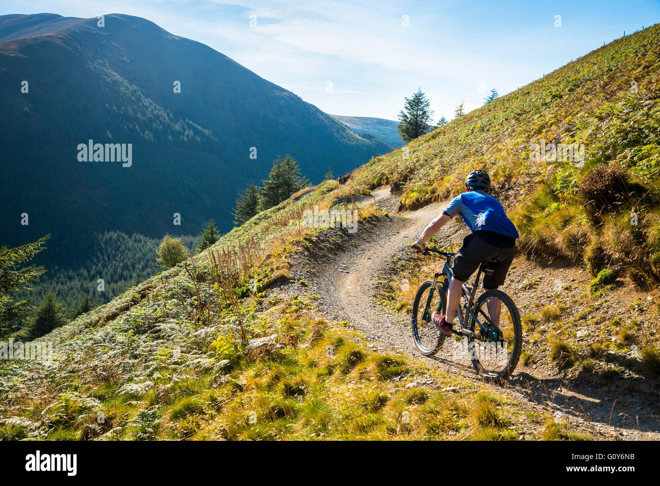 Mountain biker on the Altura Trail a purposebuilt trail around Whinlatter Forest in the Lake