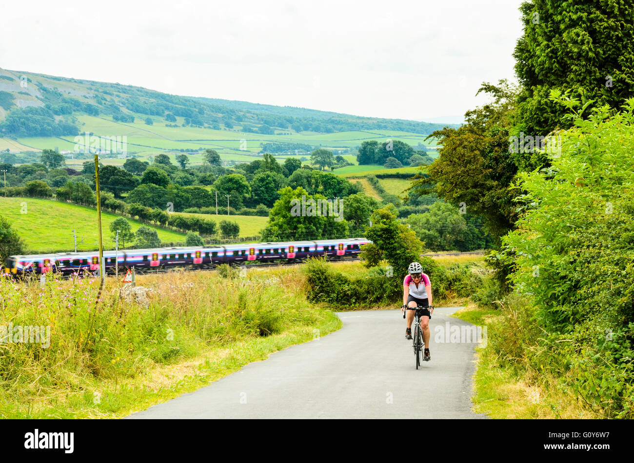 Female cyclist climbs a lane in South Lakeland Cumbria with a train on the West Coast Main Line behind Stock Photo
