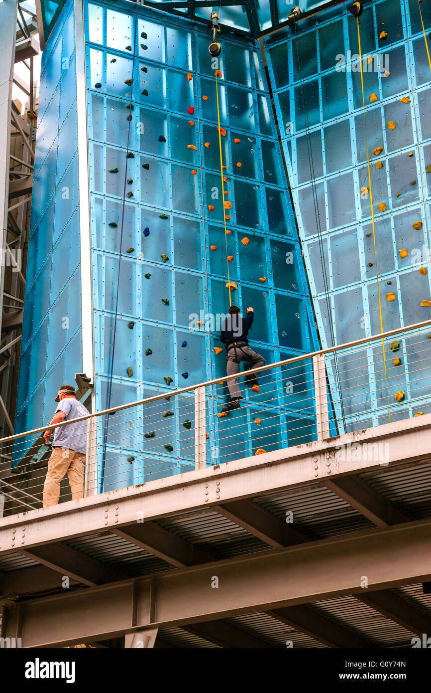 People climbing at the High Point climbing gym at The Block on Broad