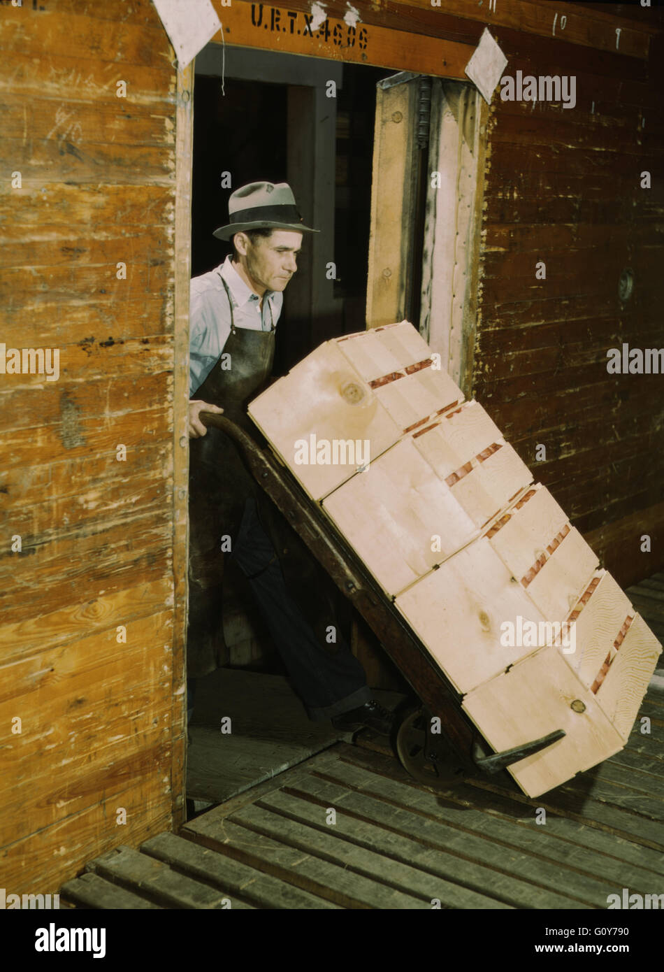 Worker Loading Oranges into Refrigerator Car at Co-op Orange Packing Plant, Redlands, California, USA, by Jack Delano for Farm Security Administration, circa 1943 Stock Photo