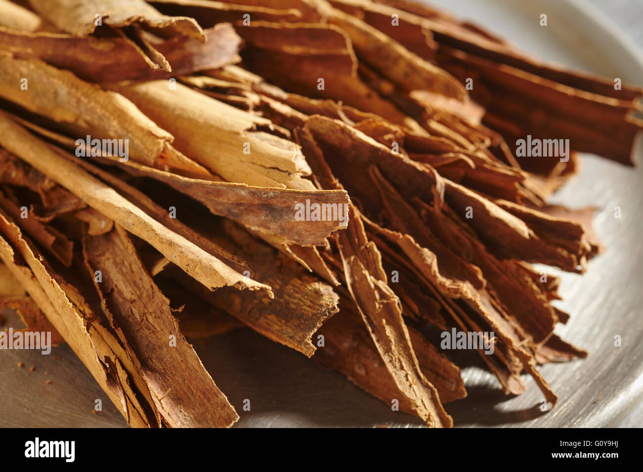 Mexican cinnamon bark Stock Photo
