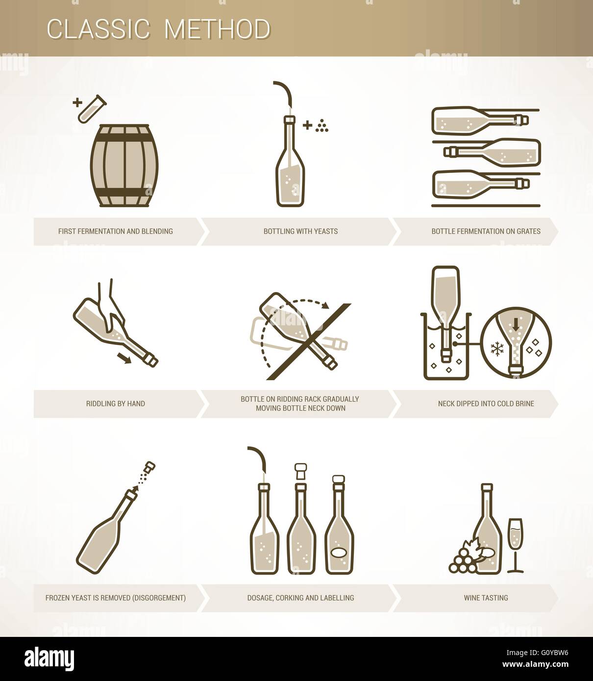 Winemaking classic method procedure, wine fermentation and bottling Stock Vector