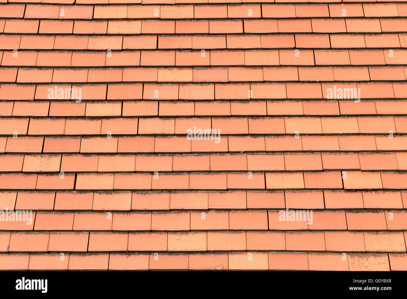 Red Roof Tiles Stock Photo
