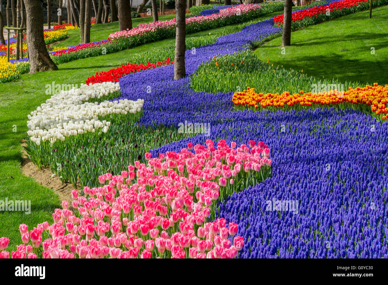Colorful flowerbed in Istanbul Tulip Festival - Emirgan Park / Turkey Stock  Photo - Alamy