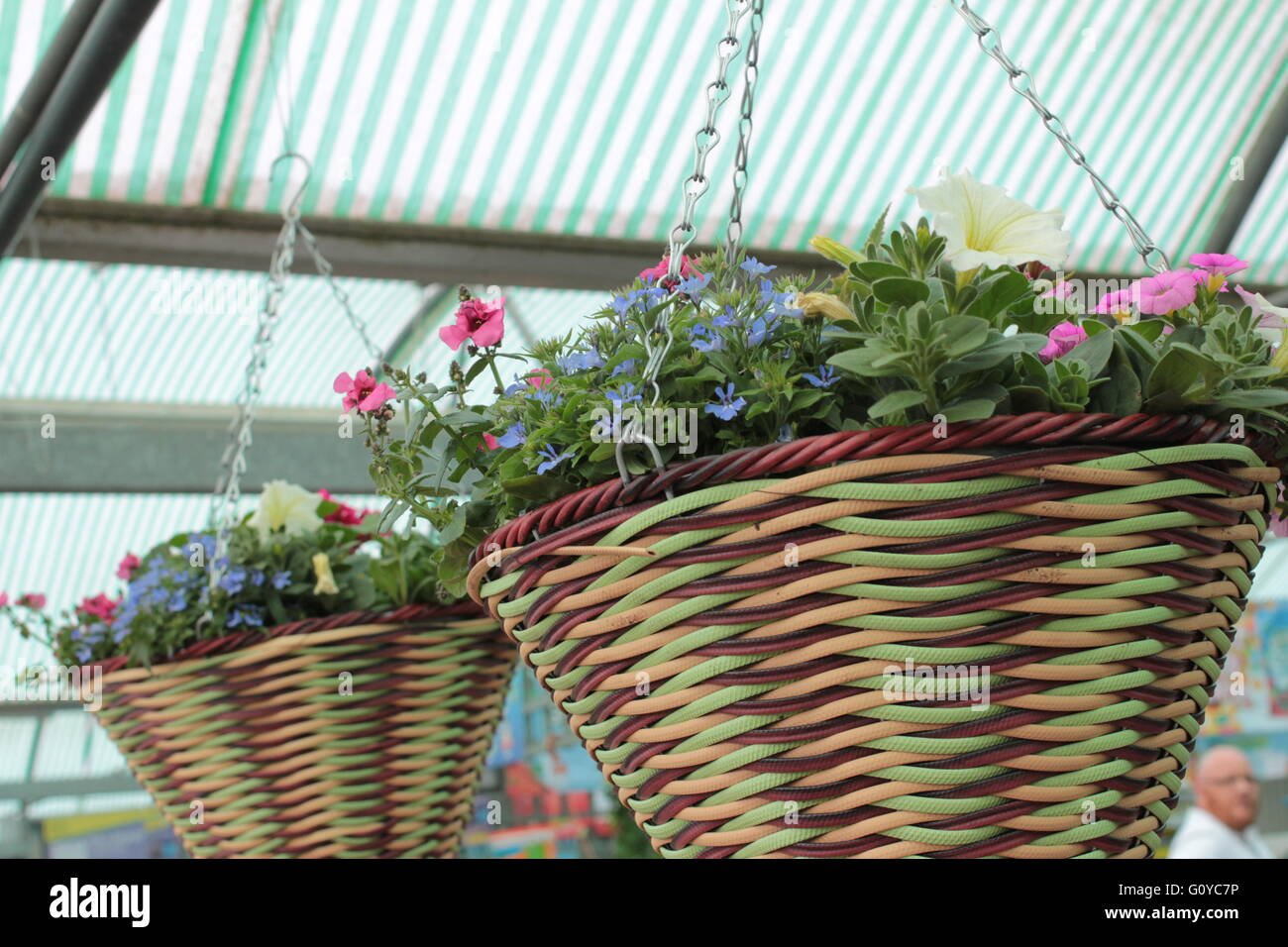Cone hanging baskets hi-res stock photography and images - Alamy