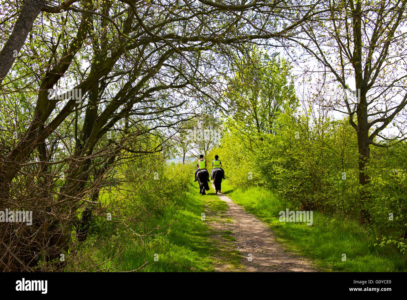Two young women horse-riding down country lane at Flatford, Dedham Vale, Essex, England UK Stock Photo