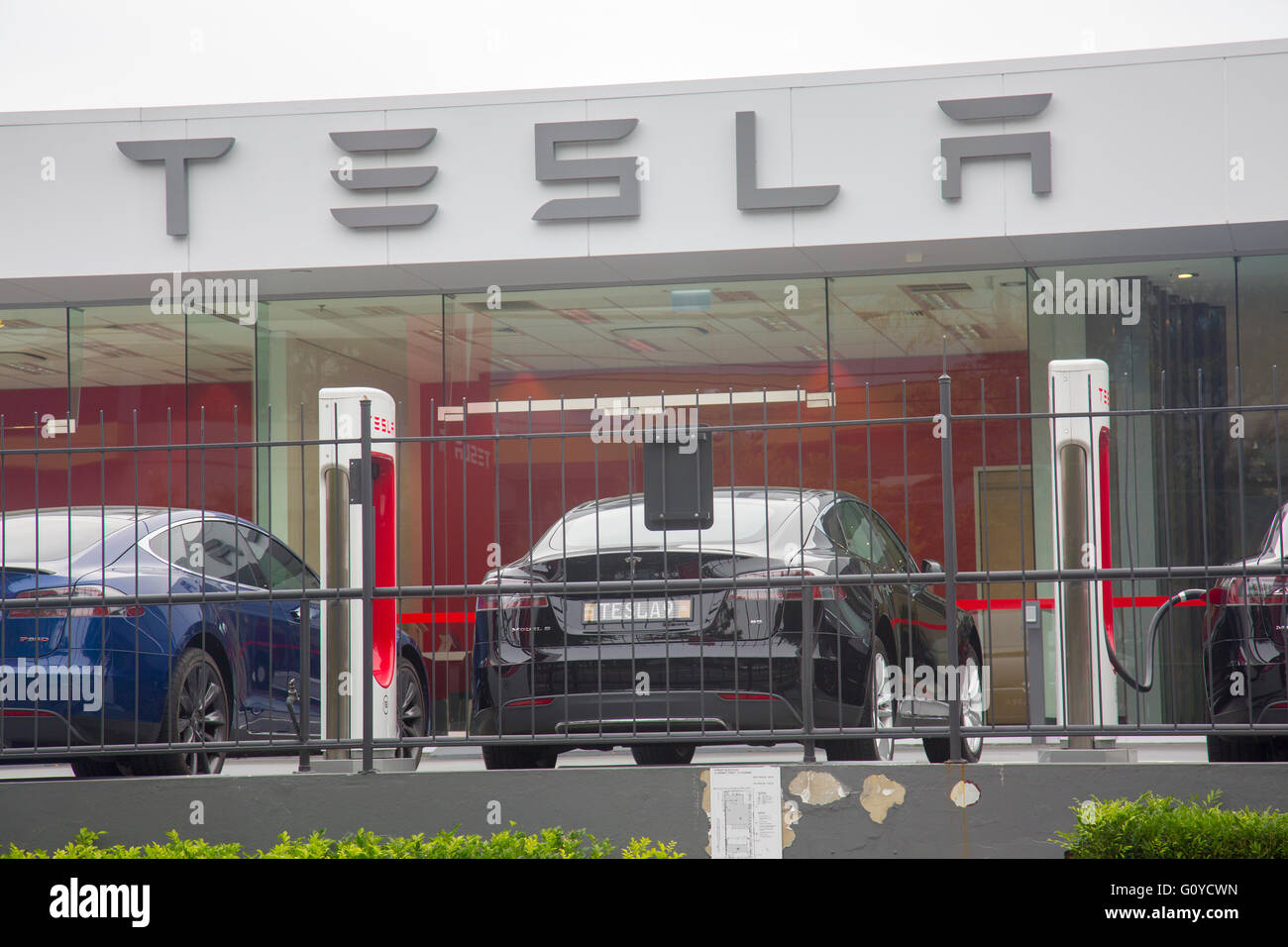 Tesla cars dealership in St Leonards,Sydney,Australia Stock Photo
