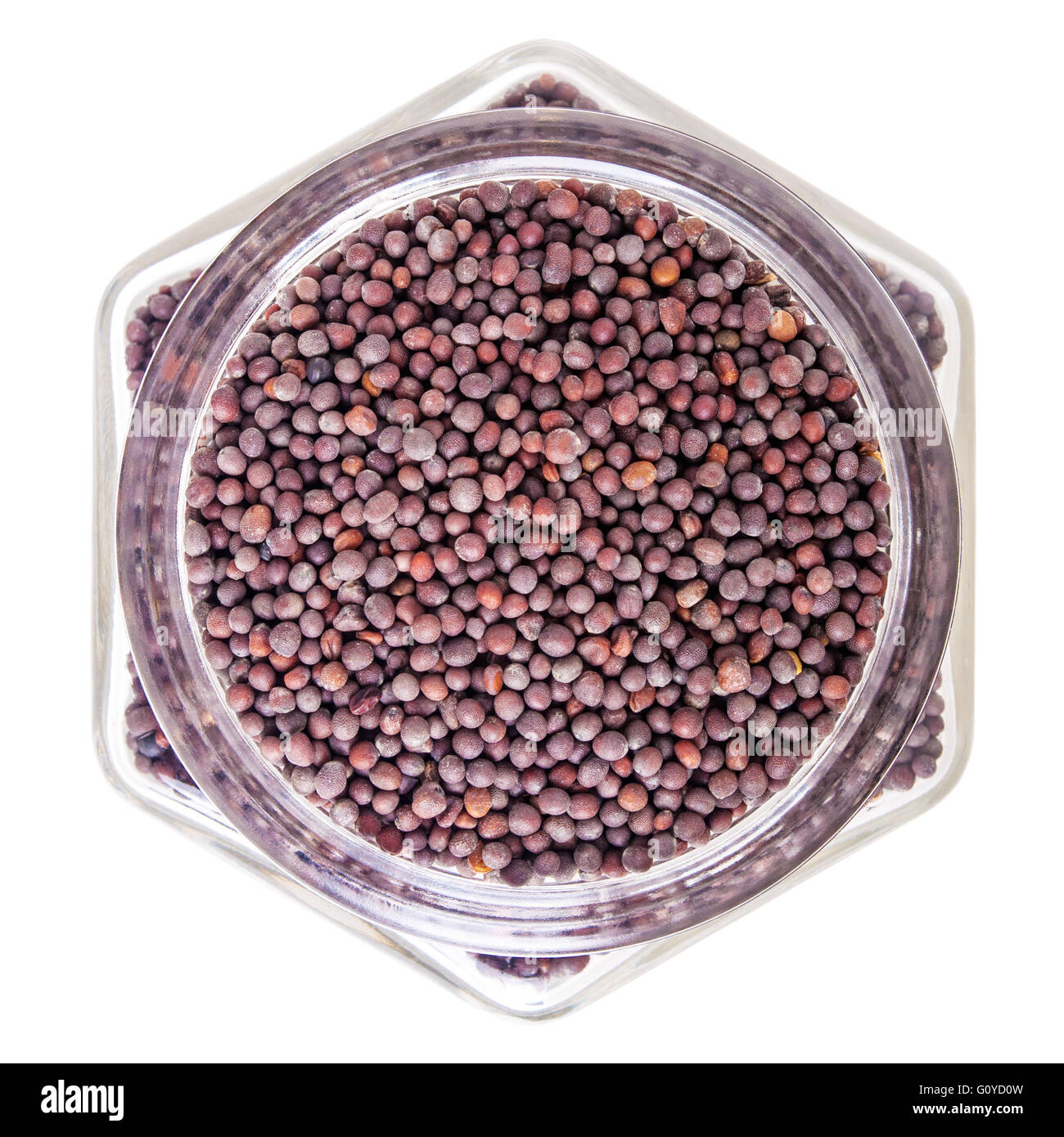 Black mustard seed hires stock photography and images Alamy