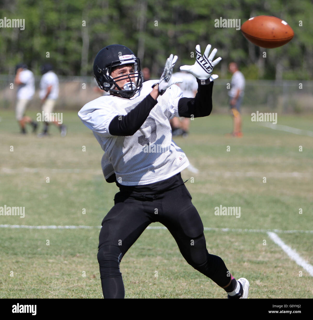 New Port Richey, Florida, USA. 5th May, 2016. BRENDAN FITTERER | Times ...
