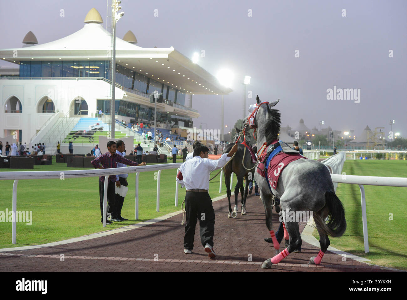 Racing And Equestrian Club Qatar