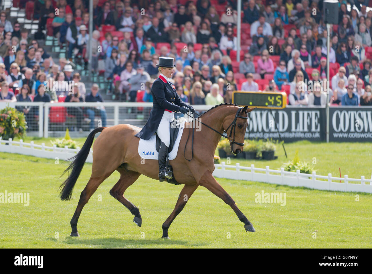 Badminton, South Gloucestershire, UK, 6th May 2016, Zara Tindall and her horse High Kingdom take part in the dressage phase at the Mitsubishi Motors Badminton Horse Trials 2016. Dressage is an advanced form of riding that tests the horse and rider as they perform difficult manoeuvres based around a horse's natural movements. Credit: Trevor Holt / Alamy Live News Stock Photo