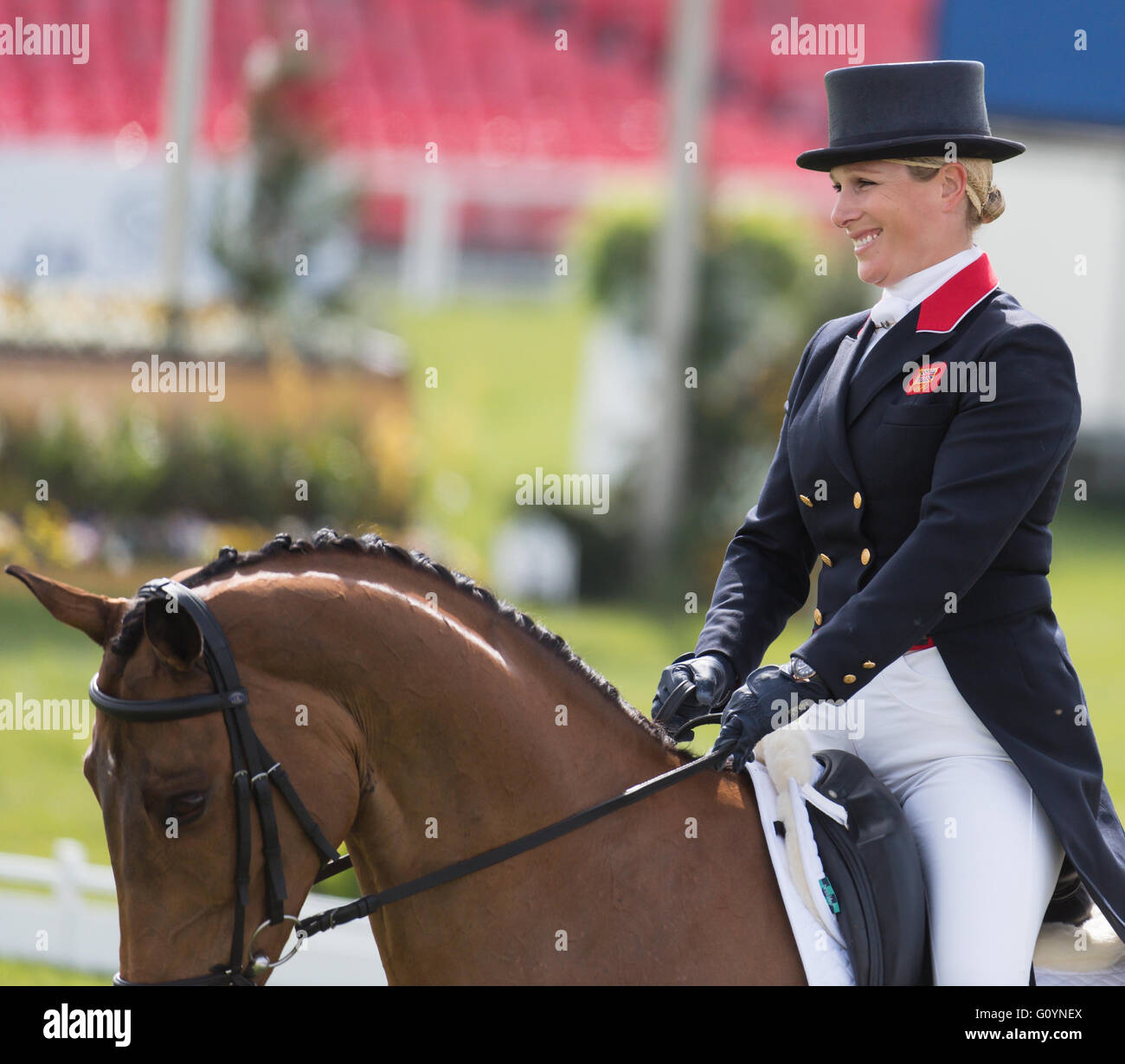 Badminton, South Gloucestershire, UK, 6th May 2016, Zara Tindall and her horse High Kingdom take part in the dressage phase at the Mitsubishi Motors Badminton Horse Trials 2016. Dressage is an advanced form of riding that tests the horse and rider as they perform difficult manoeuvres based around a horse's natural movements. Credit: Trevor Holt / Alamy Live News Stock Photo