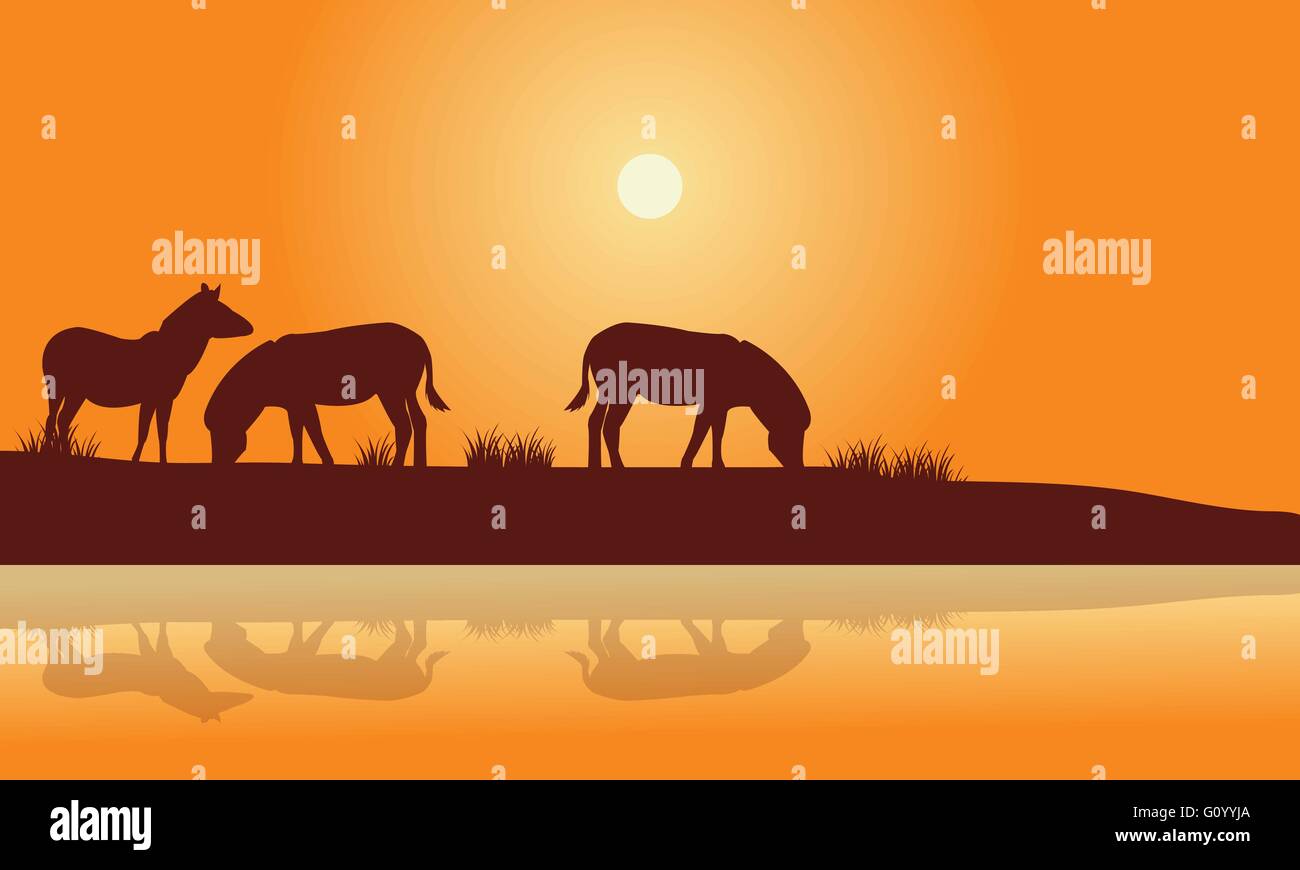 Silhouette of zebra in riverbank Stock Vector Image & Art - Alamy