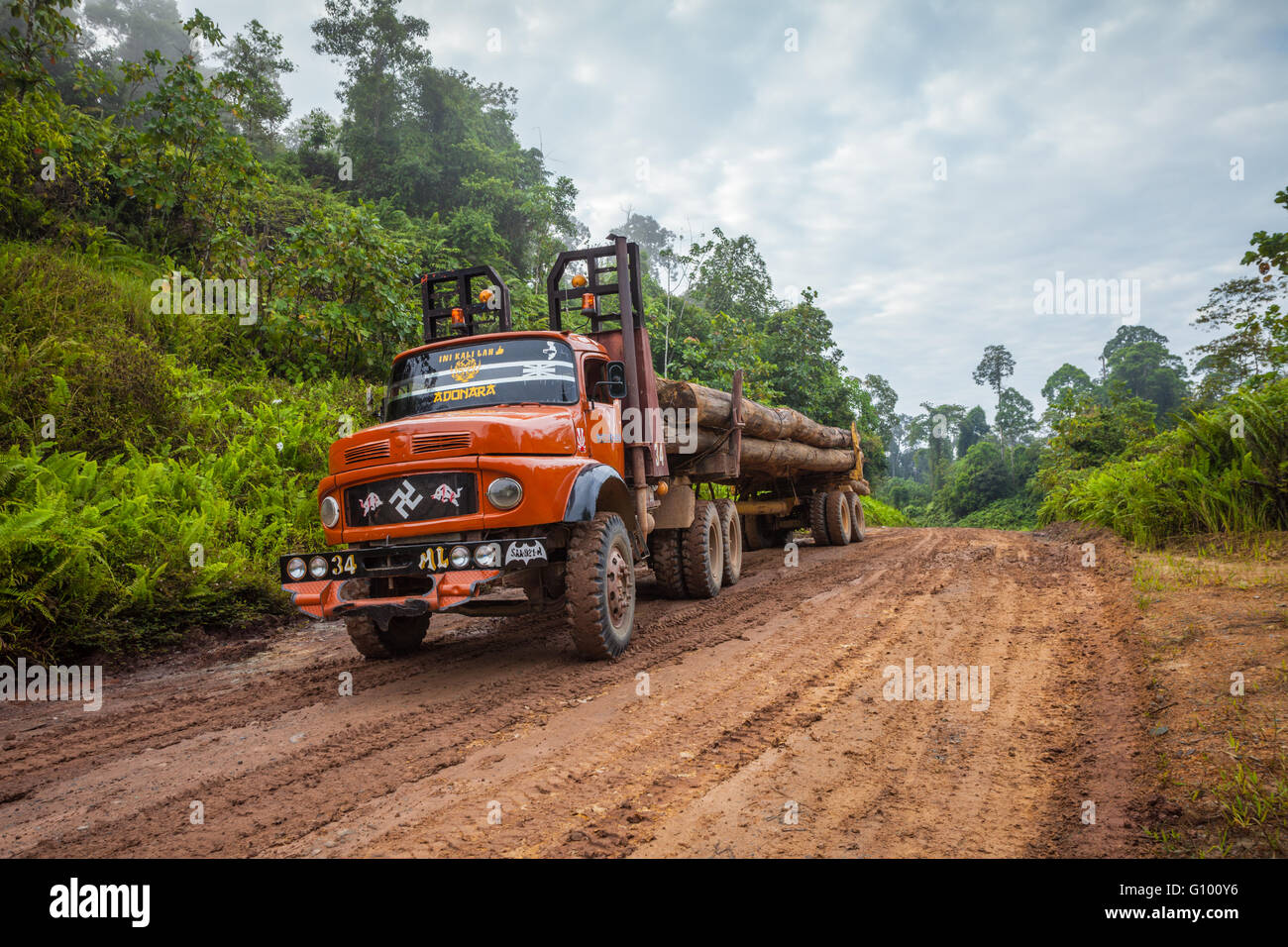 Lorries carrying harvested logs or trees in northern remote Sabah, Malaysian Borneo Stock Photo