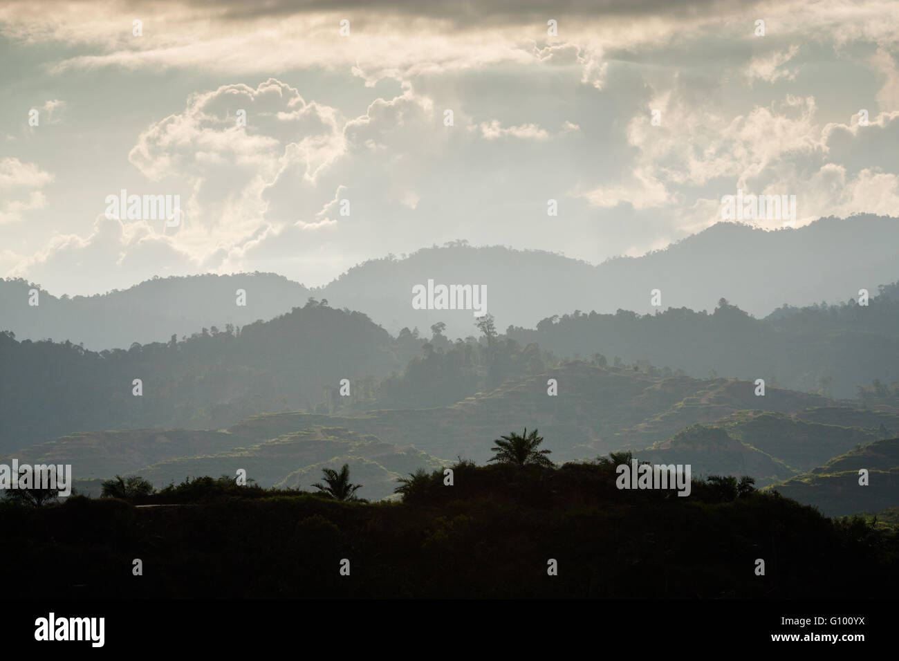 View of the secondary jungle (rainforest) and oil palm plantations across Sabah, Borneo Malaysia Stock Photo