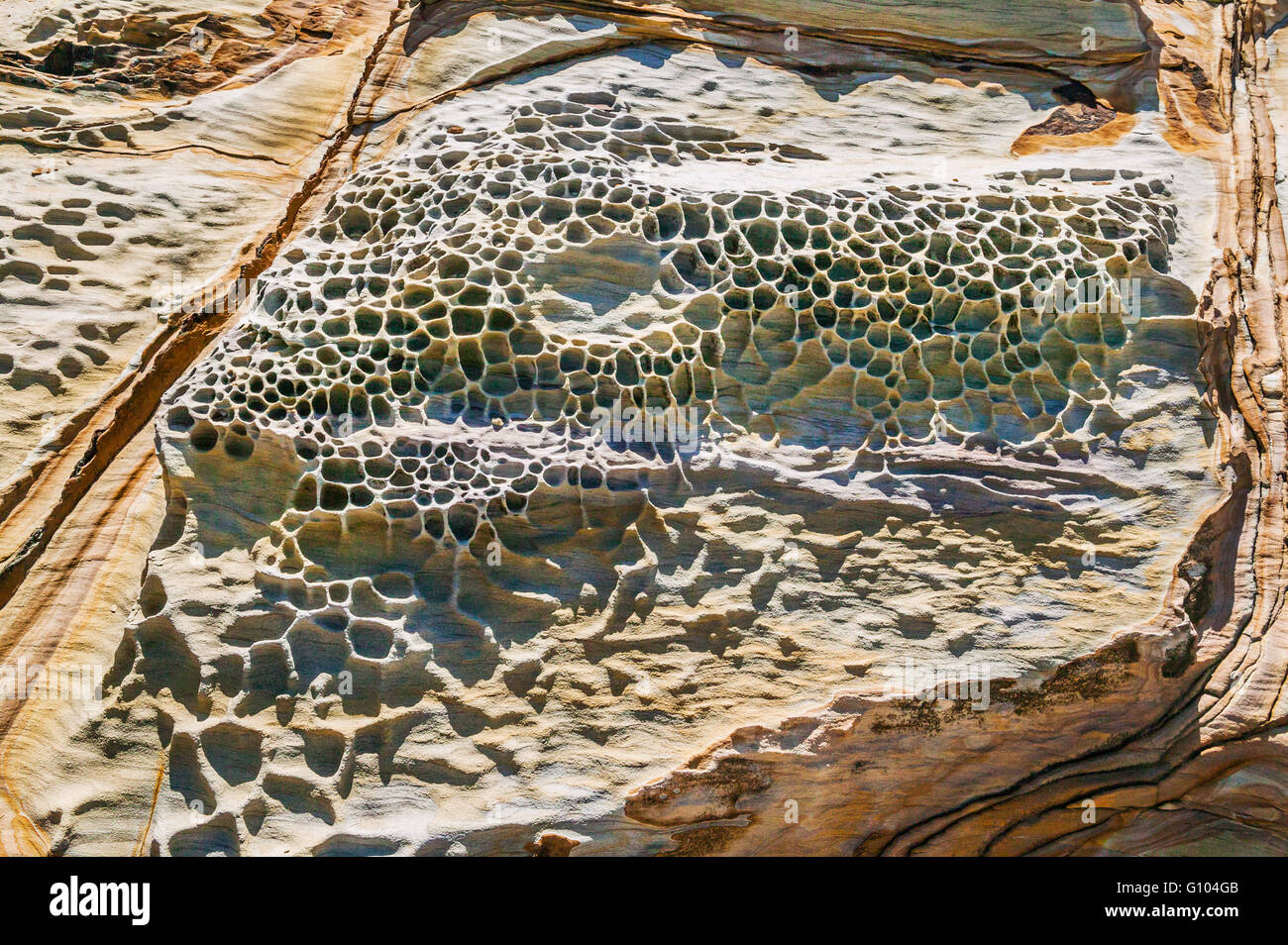 Australia, New South Wales, Central Coast, Bouddi National Park, erosion has formed honeycomb patterns on Hawkesbury sandstone Stock Photo