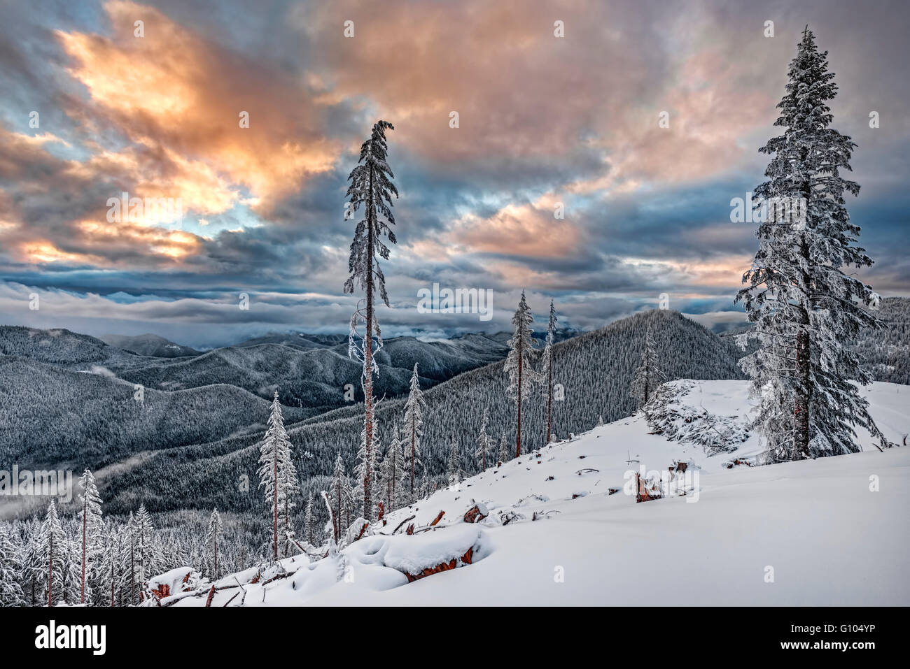 Sunset Illuminates the Snow Covered Mountains, Valleys, and Trees of the Cascade Mountains in Winter Stock Photo