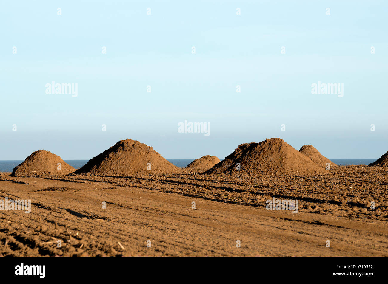 Archaeological digs hi-res stock photography and images - Alamy