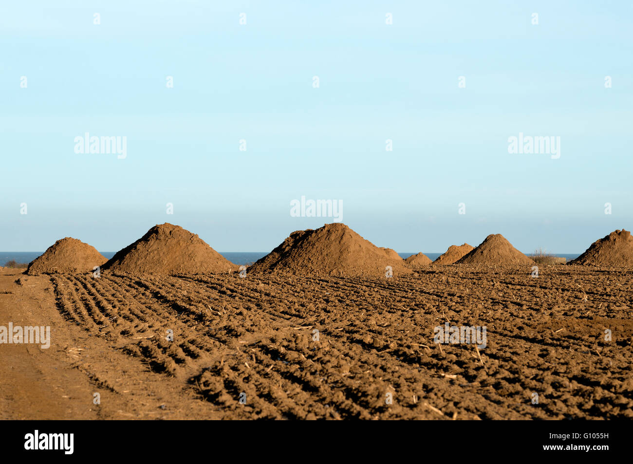 Archaeological digs hi-res stock photography and images - Alamy