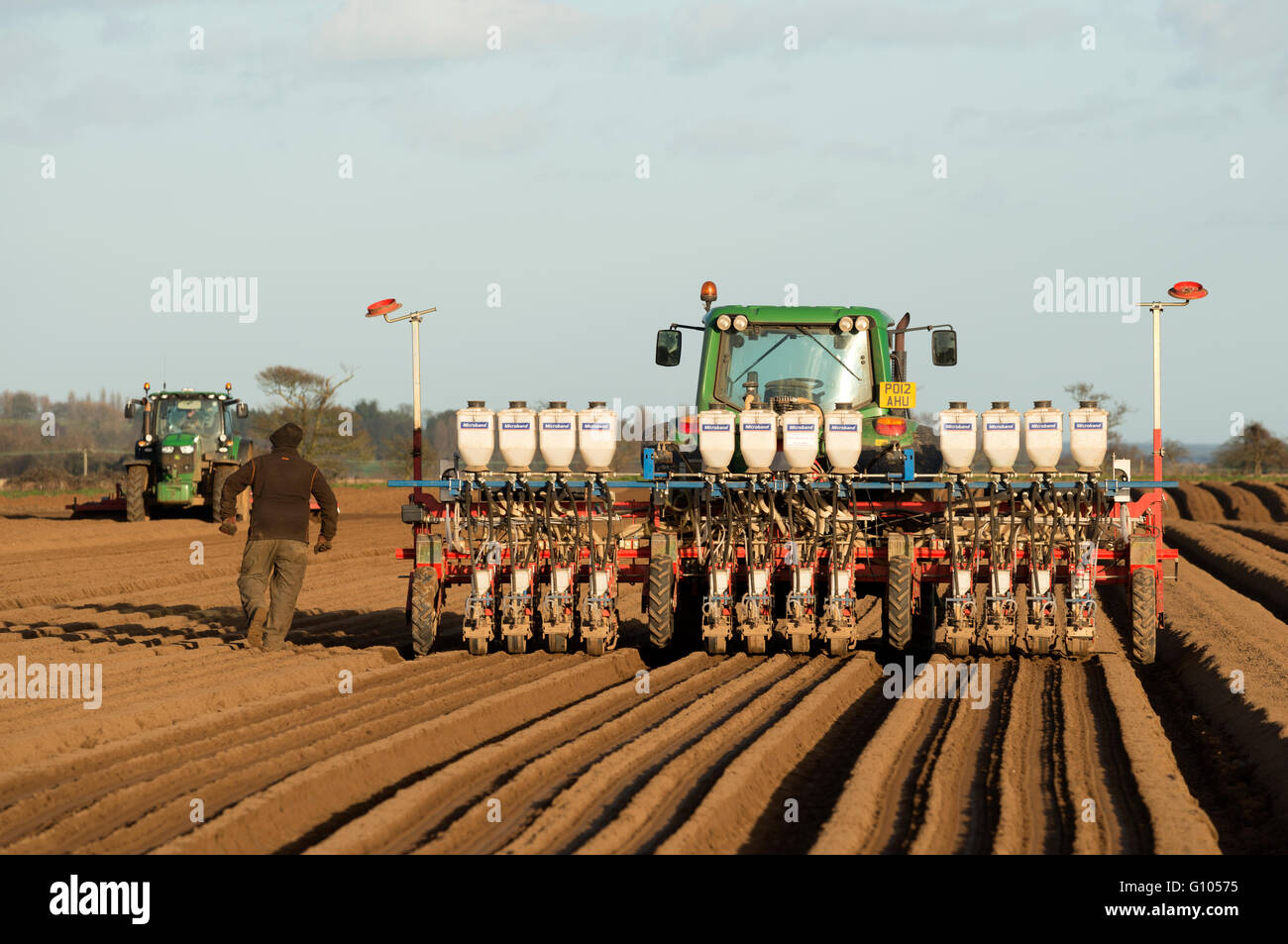 Seed drill planting carrots, Alderton Suffolk UK Stock Photo Alamy