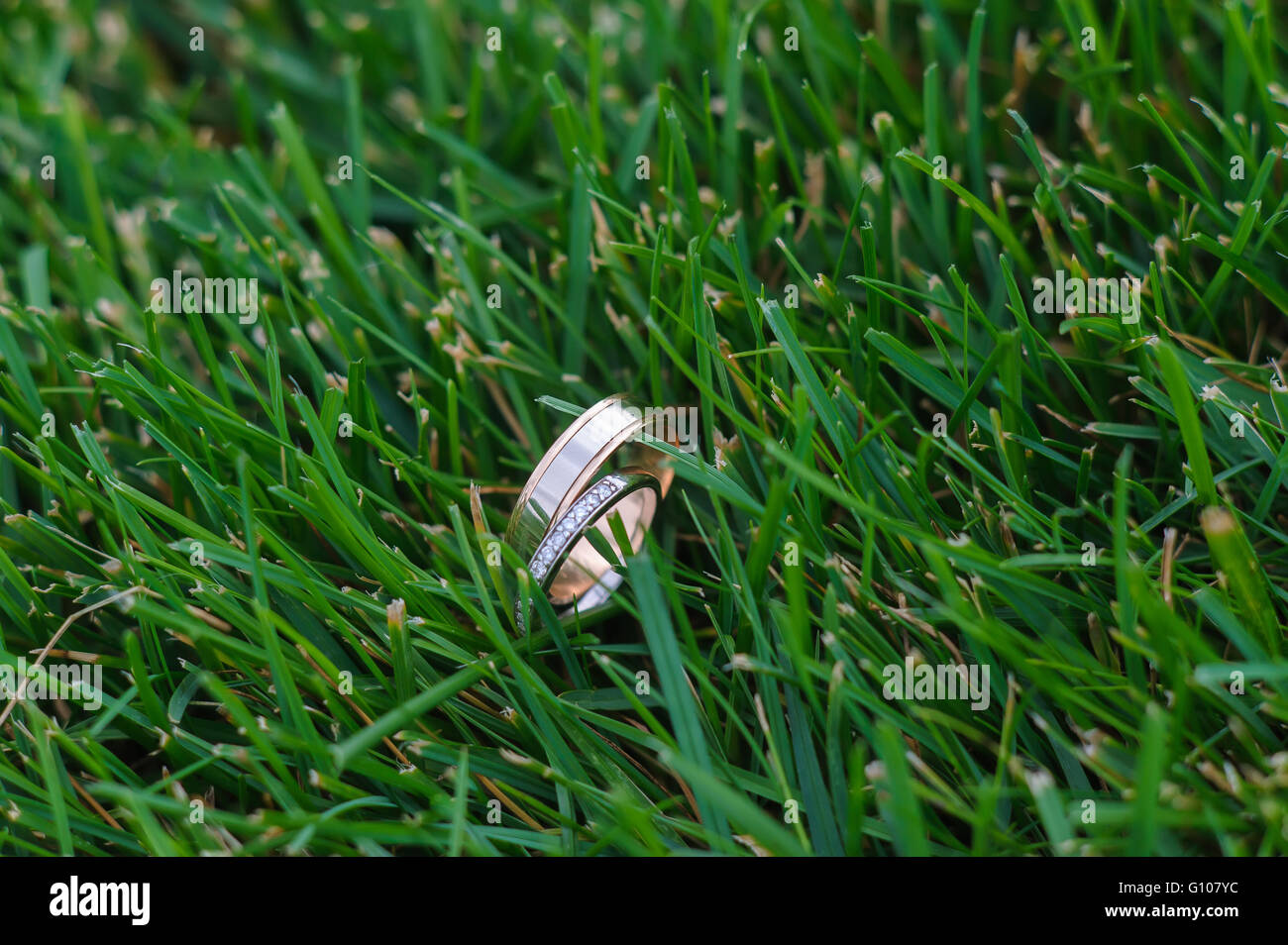 Wedding ring in the green grass on lawn Stock Photo Alamy